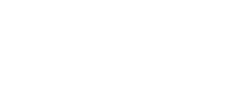 Boston Store logo